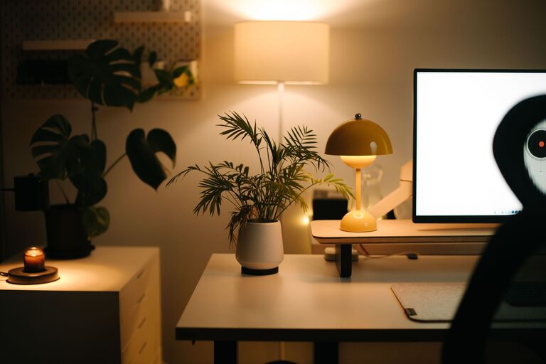Tips for Creating a Cosy and Productive Home Office Space